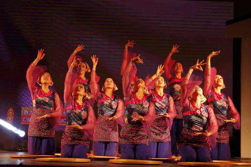 草根藝術團綻芳華 順德社區巡演三載情，央視舞臺展風采