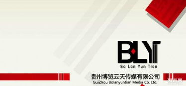 從網(wǎng)站建設(shè)到整合營銷 打造數(shù)字化時(shí)代的品牌增長(zhǎng)引擎